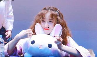 白鹿宋雨琦娱乐爆料,揭秘明星幕后故事  第1张